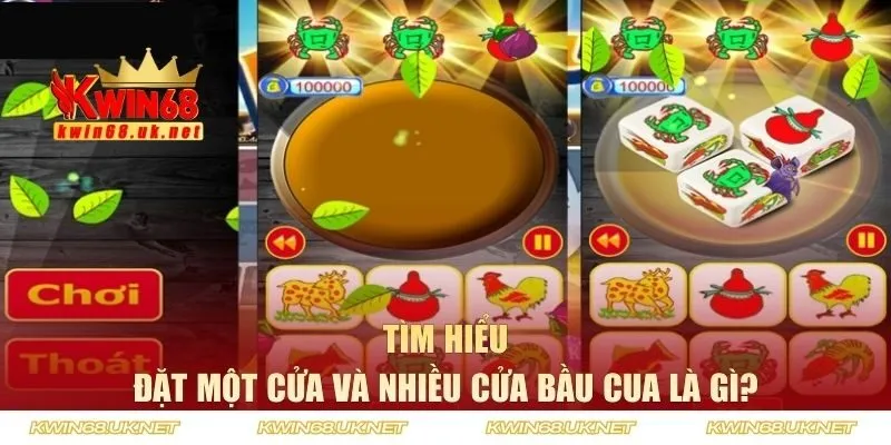 Đặt một cửa và nhiều cửa bầu cua là gì?